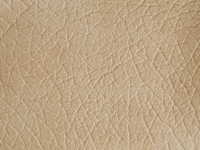 Пальма 09