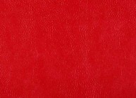 Бизон 31 Категория №8
