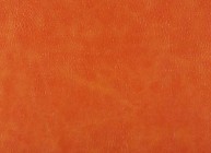 Бизон 29 Категория №8